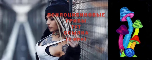 2c-b Алексеевка