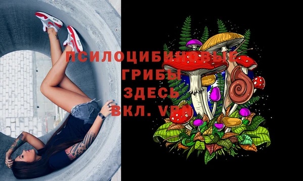 герыч Наволоки