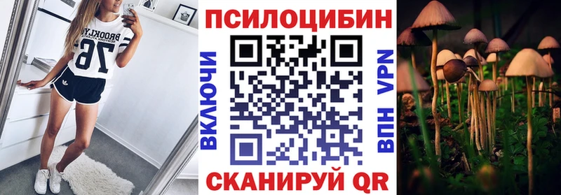 кракен ССЫЛКА  купить наркотик  Амурск  Псилоцибиновые грибы ЛСД 